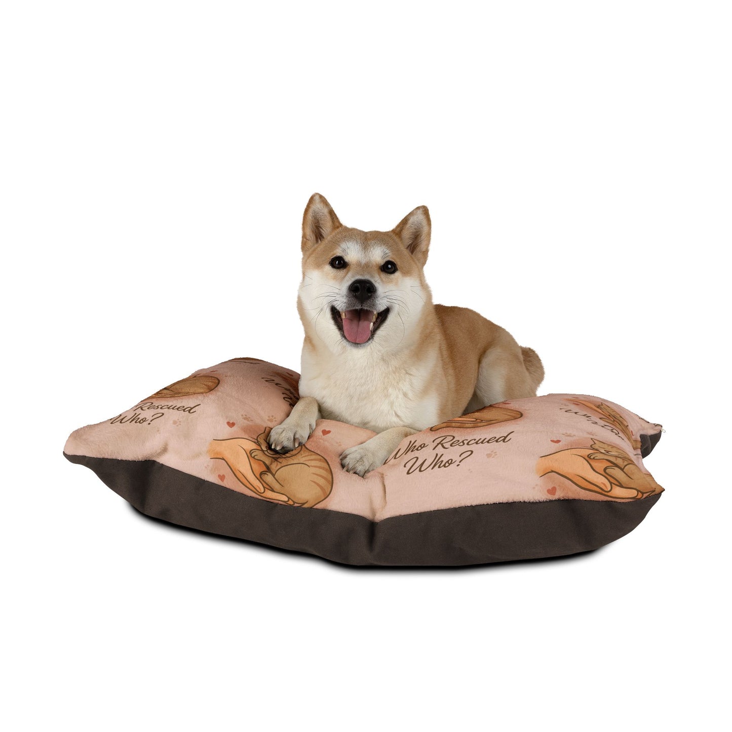 Cat Bed